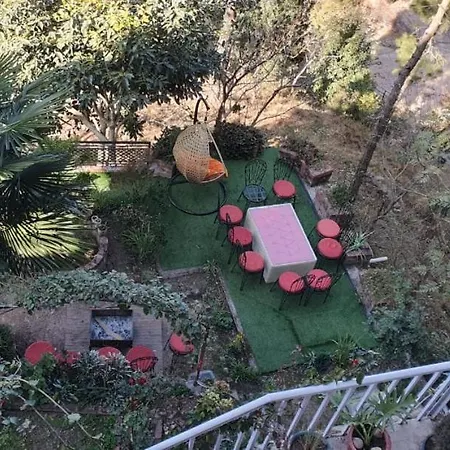 Wonderful Homestay Kasauli Exterior photo