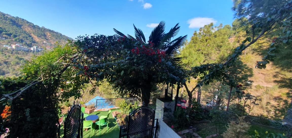 Homestay Wonderful Kasauli